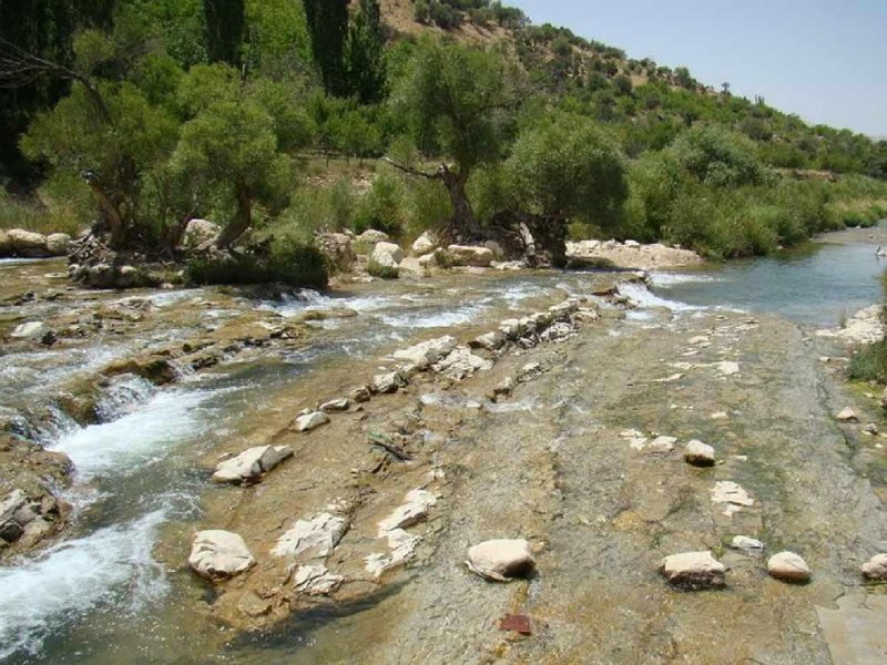 تنگ تیزاب فارس
