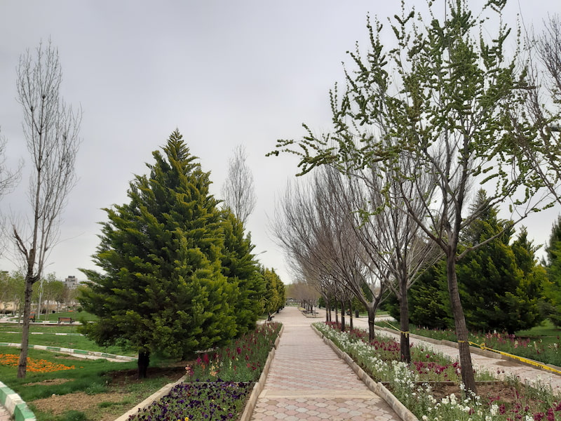 پارک شقایق شیراز
