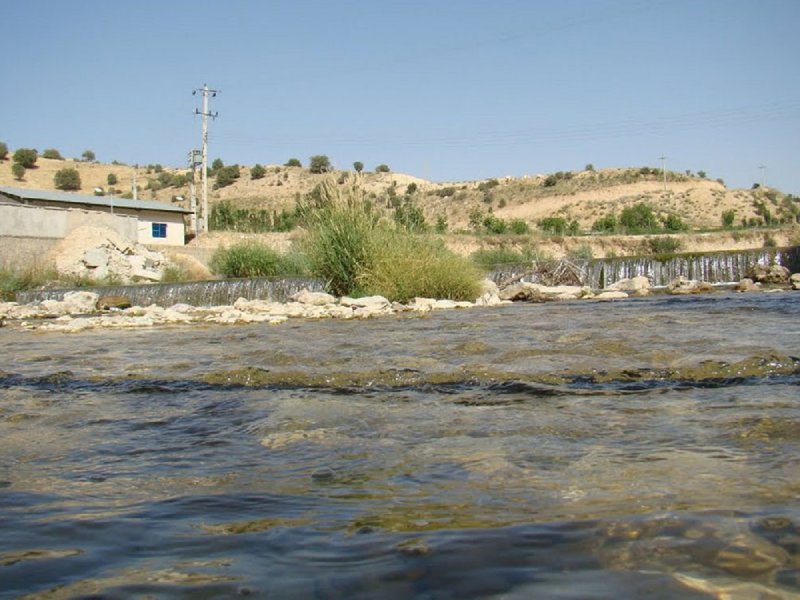 تیزاب سپیدان