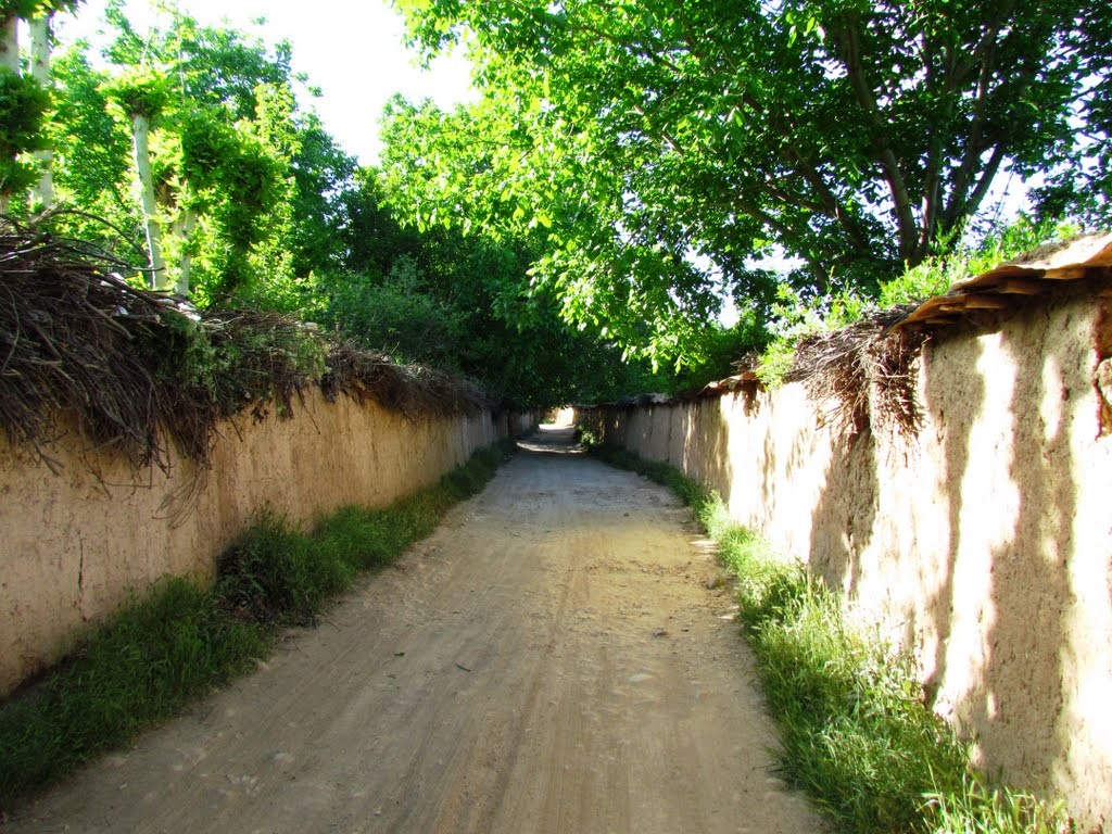 دیدنی های محله باصفا قصر دشت شیراز