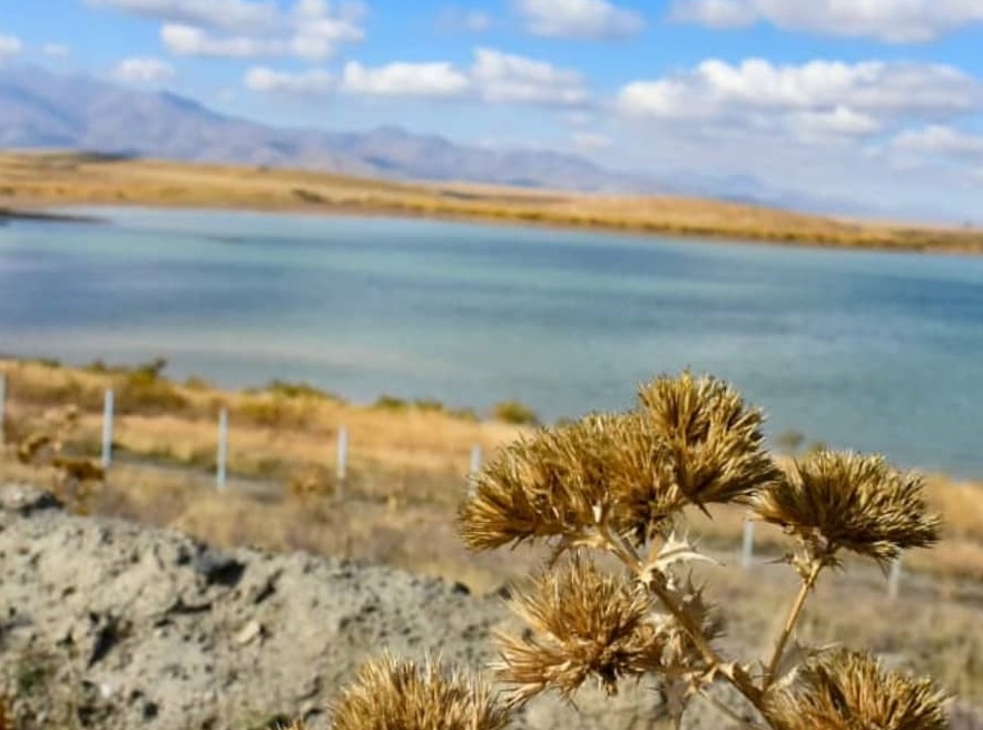 چه زمانی به تالاب آق گل سفر کنیم