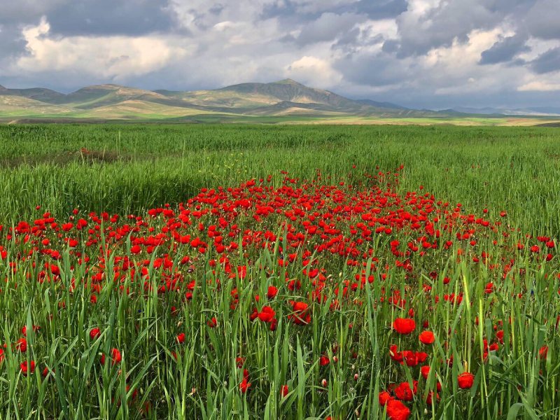 شیلگان دره درگز