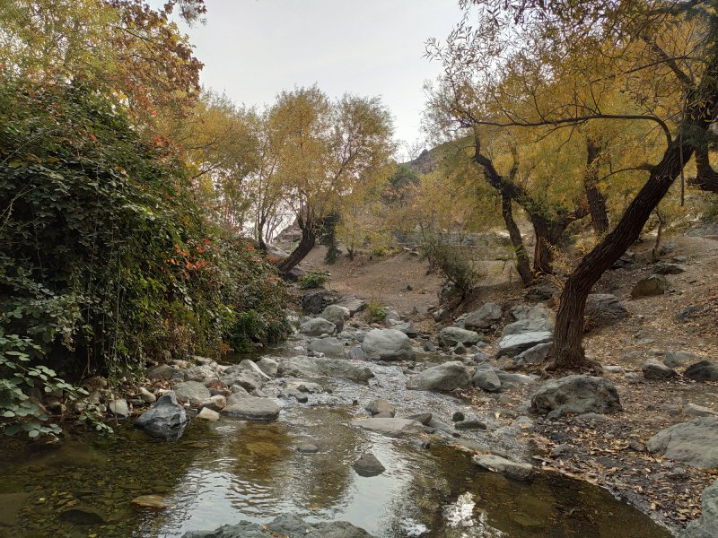 داراباد تهران کجاست
